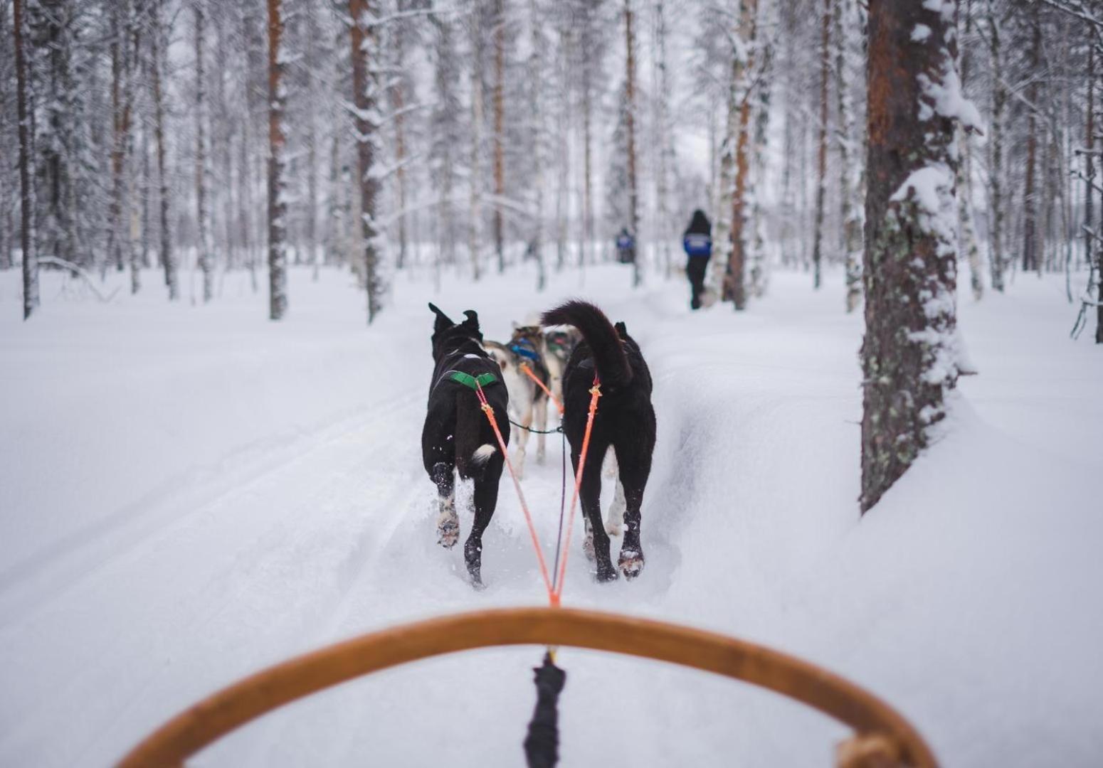 #1012 - Walk To Ski, Newly Remodeled Mountain View Condo With Pool Steamboat Springs Kültér fotó